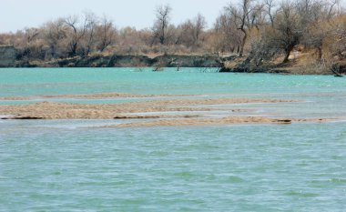 nehir bahar. bahar Nehri Orta Asya'da. Kazakistan bozkır nehir Semirechye. 