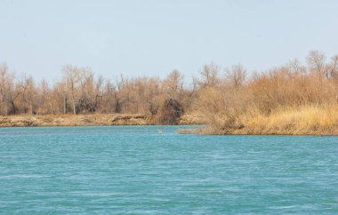 nehir bahar. bahar Nehri Orta Asya'da. Kazakistan bozkır nehir Semirechye. 