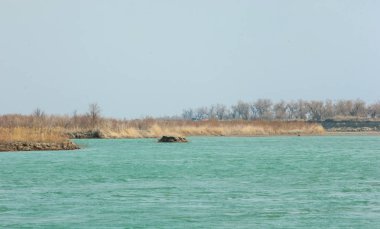 nehir bahar. bahar Nehri Orta Asya'da. Kazakistan bozkır nehir Semirechye. 