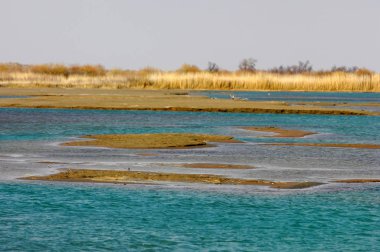 nehir bahar. bahar Nehri Orta Asya'da. Kazakistan bozkır nehir Semirechye. 