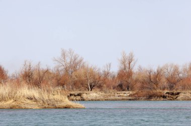 nehir bahar. bahar Nehri Orta Asya'da. Kazakistan bozkır nehir Semirechye. 