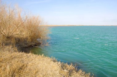 nehir bahar. bahar Nehri Orta Asya'da. Kazakistan bozkır nehir Semirechye. 