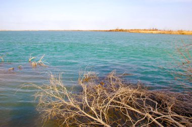 nehir bahar. bahar Nehri Orta Asya'da. Kazakistan bozkır nehir Semirechye. 