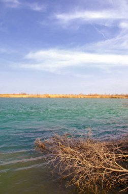 nehir bahar. bahar Nehri Orta Asya'da. Kazakistan bozkır nehir Semirechye. 