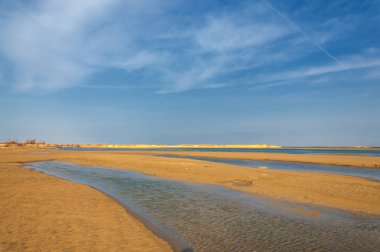 nehir bahar. bahar Nehri Orta Asya'da. Kazakistan bozkır nehir Semirechye. 