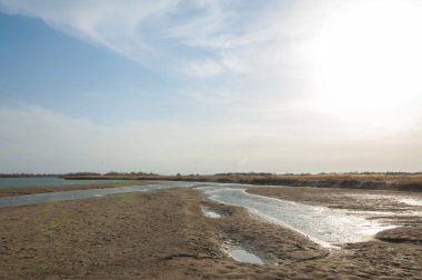 nehir bahar. bahar Nehri Orta Asya'da. Kazakistan bozkır nehir Semirechye. 