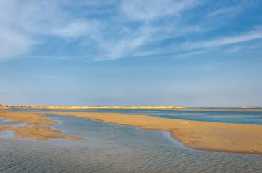 nehir bahar. bahar Nehri Orta Asya'da. Kazakistan bozkır nehir Semirechye. 