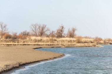 nehir bahar. bahar Nehri Orta Asya'da. Kazakistan bozkır nehir Semirechye. 