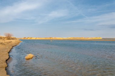 nehir bahar. bahar Nehri Orta Asya'da. Kazakistan bozkır nehir Semirechye. 