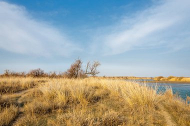 nehir bahar. bahar Nehri Orta Asya'da. Kazakistan bozkır nehir Semirechye. 