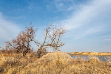nehir bahar. bahar Nehri Orta Asya'da. Kazakistan bozkır nehir Semirechye. 