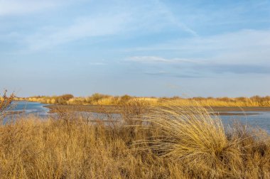 nehir bahar. bahar Nehri Orta Asya'da. Kazakistan bozkır nehir Semirechye. 