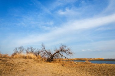 nehir bahar. bahar Nehri Orta Asya'da. Kazakistan bozkır nehir Semirechye. 