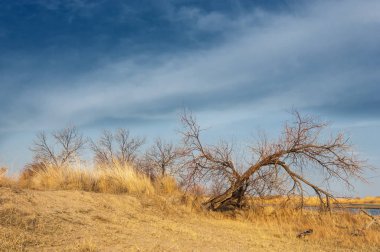 nehir bahar. bahar Nehri Orta Asya'da. Kazakistan bozkır nehir Semirechye. 