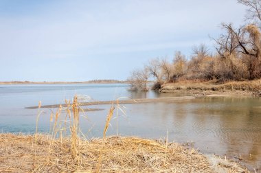 nehir bahar. bahar Nehri Orta Asya'da. Kazakistan bozkır nehir Semirechye. 