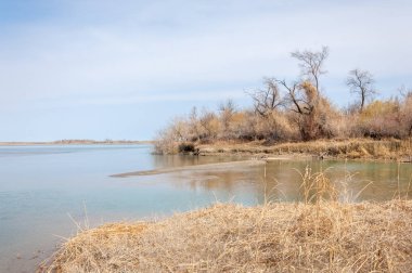 nehir bahar. bahar Nehri Orta Asya'da. Kazakistan bozkır nehir Semirechye. 