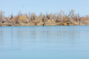 nehir bahar. bahar Nehri Orta Asya'da. Kazakistan bozkır nehir Semirechye. 