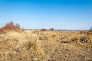 bahar bozkır. Doğa kıştan sonra uyanır. çölde ağaçlar geçen yılki çim