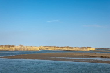 bahar bozkır nehirde. nehir sazlık ile büyümüş. saf zümrüt sudur
