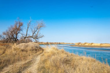bahar bozkır nehirde. nehir sazlık ile büyümüş. saf zümrüt sudur