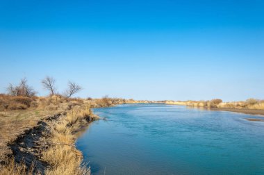 bahar bozkır nehirde. nehir sazlık ile büyümüş. saf zümrüt sudur