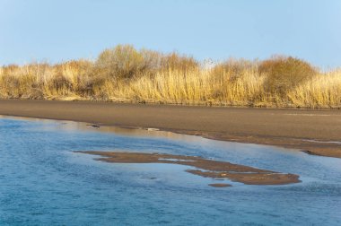 bahar bozkır nehirde. nehir sazlık ile büyümüş. saf zümrüt sudur