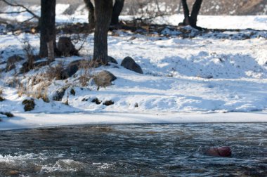 su küçük bir nehir erken ilkbahar akarsu. Bahar sahne. donmuş bir dere ile dağ manzarası