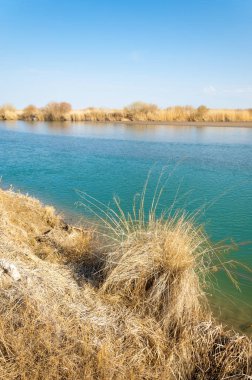 bahar bozkır nehirde. nehir sazlık ile büyümüş. saf zümrüt sudur