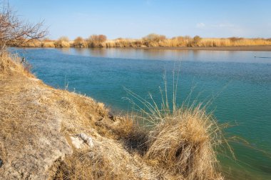 bahar bozkır nehirde. nehir sazlık ile büyümüş. saf zümrüt sudur