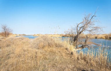 bahar bozkır nehirde. nehir sazlık ile büyümüş. saf zümrüt sudur