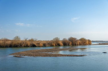 bahar bozkır nehirde. nehir sazlık ile büyümüş. saf zümrüt sudur