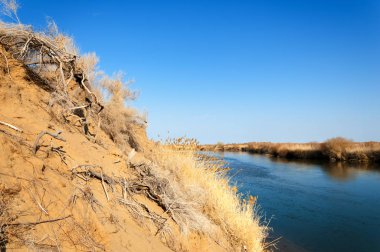 bahar bozkır nehirde. nehir sazlık ile büyümüş. saf zümrüt sudur