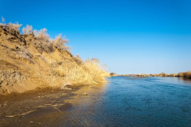 bahar bozkır nehirde. nehir sazlık ile büyümüş. saf zümrüt sudur