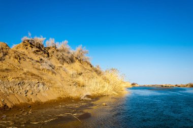 bahar bozkır nehirde. nehir sazlık ile büyümüş. saf zümrüt sudur