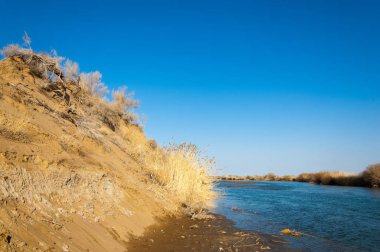 bahar bozkır nehirde. nehir sazlık ile büyümüş. saf zümrüt sudur