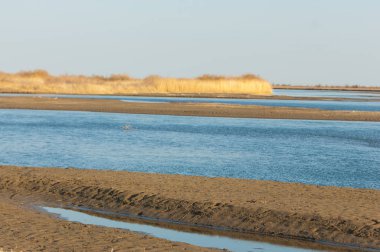 bahar bozkır nehirde. nehir sazlık ile büyümüş. saf zümrüt sudur