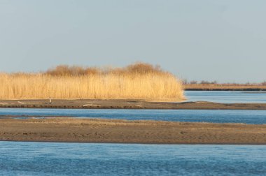 bahar bozkır nehirde. nehir sazlık ile büyümüş. saf zümrüt sudur