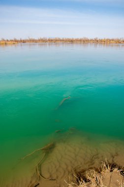 bahar bozkır nehirde. nehir sazlık ile büyümüş. saf zümrüt sudur