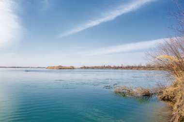 bahar bozkır nehirde. nehir sazlık ile büyümüş. saf zümrüt sudur