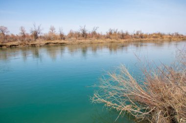 bahar bozkır nehirde. nehir sazlık ile büyümüş. saf zümrüt sudur