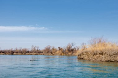 bahar bozkır nehirde. nehir sazlık ile büyümüş. saf zümrüt sudur