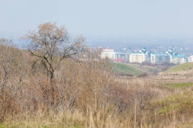 bahar elm olmadan fotoğraflandı bırakır