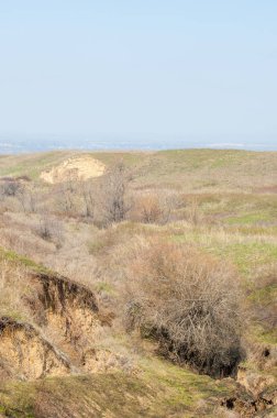 Yangından sonra bahar dağ geçidi