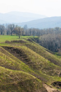 Yangından sonra bahar dağ geçidi. dağ geçidi dağlar içinde belgili tanımlık geçmiş. yonca alanıyla uçurumun hangi arkasında uzanır