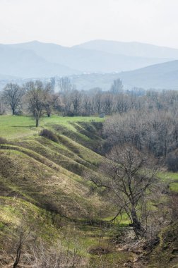 Yangından sonra bahar dağ geçidi. dağ geçidi dağlar içinde belgili tanımlık geçmiş. yonca alanıyla uçurumun hangi arkasında uzanır