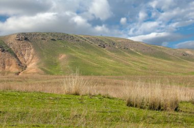 Bahar eteklerinde, yeşil çimen, tepeler, willow brook üzerinde,