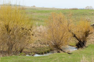 Bahar eteklerinde, yeşil çimen, tepeler, willow brook üzerinde,