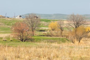 Bahar eteklerinde, yeşil çimen, tepeler, willow brook üzerinde,