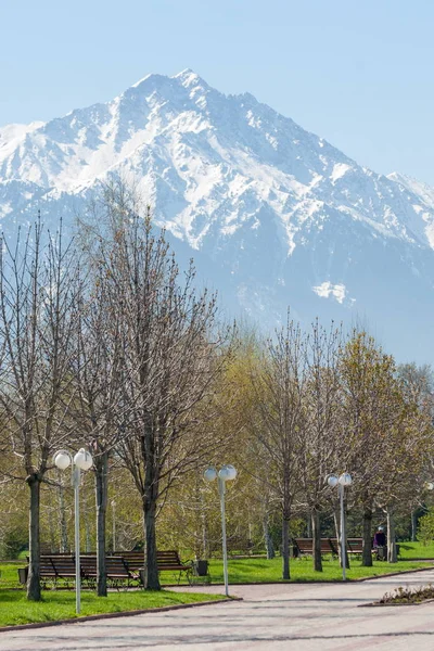 Kazakistan, erken bahar. Ülkenin ilk başkanı Park. Central park güneşli gün. güzel yeşil park