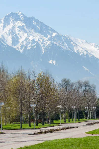 Kazakistan, erken bahar. Ülkenin ilk başkanı Park. Central park güneşli gün. güzel yeşil park